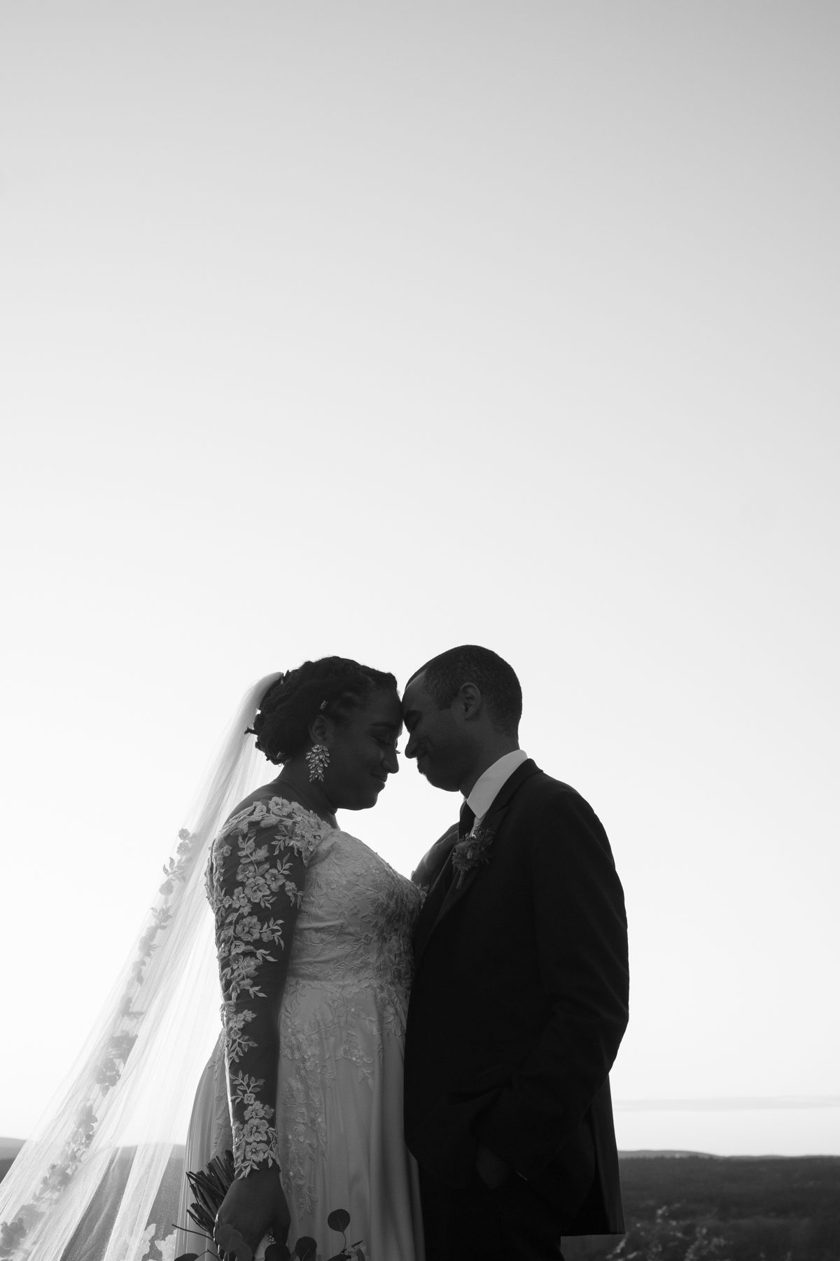 Couple silhouette with veil